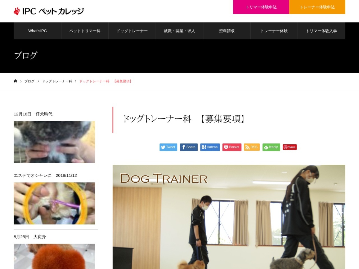 IPCペットカレッジの公式サイト